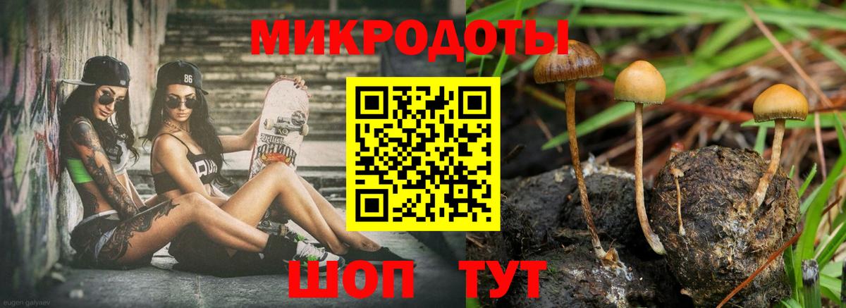 Галлюциногенные грибы Magic Shrooms  Псилоцибиновые грибы Magic Shrooms  Вход с VPN  Химки 